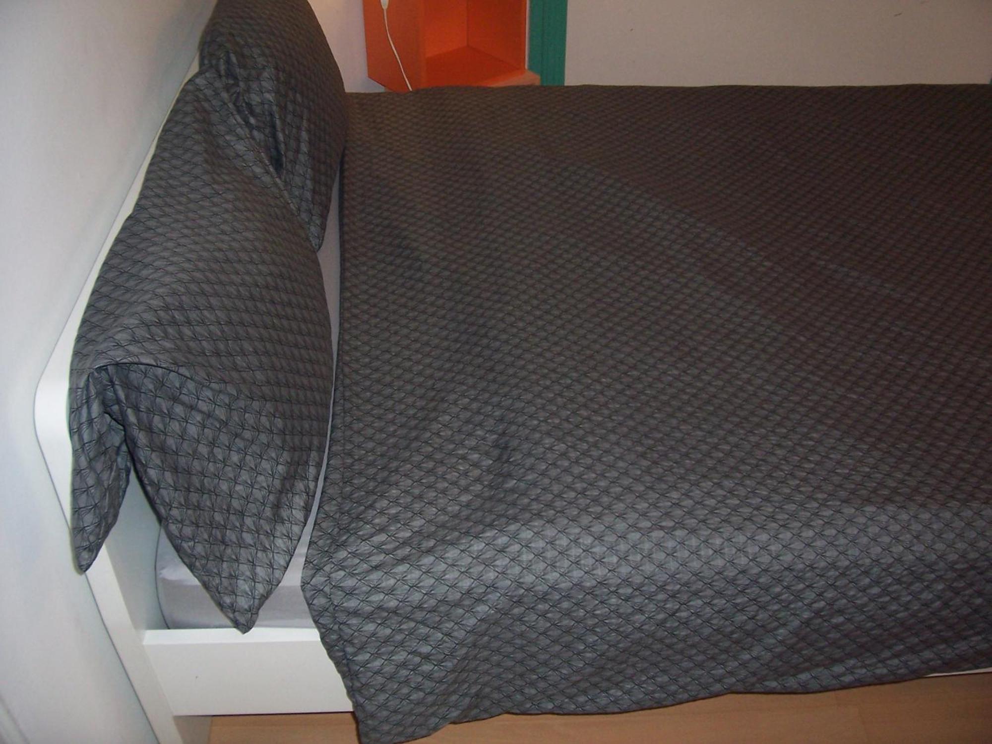 Spark Homestay szállás *